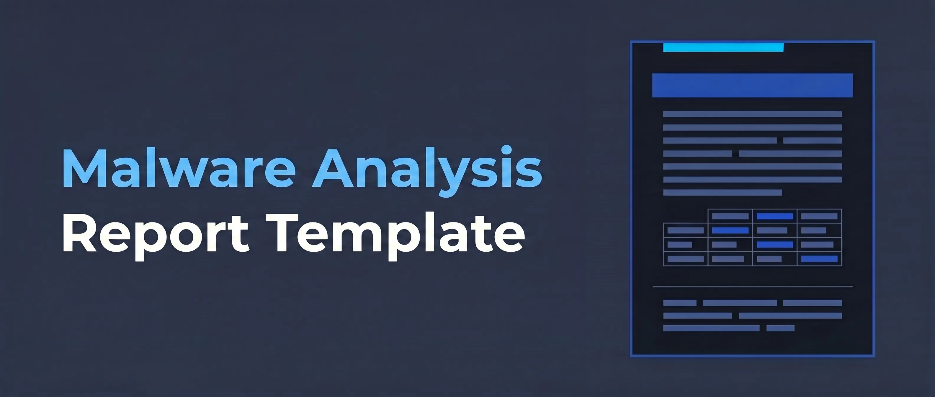 A Report Template for Malware Analysis - illustration