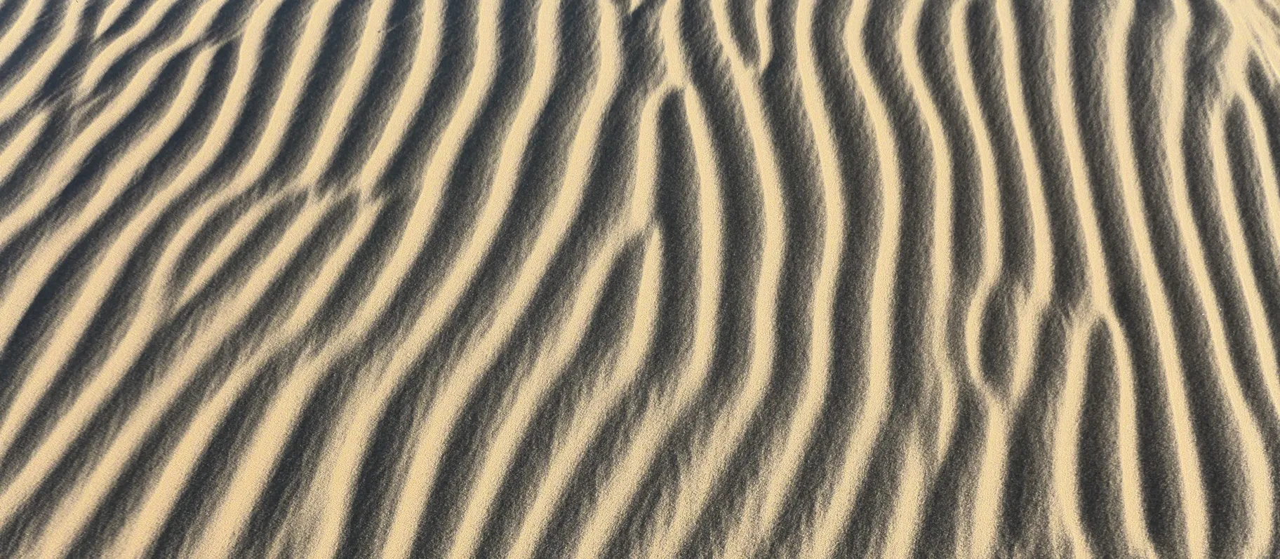 Continuous and Seamless User Authentication with Biometrics - illustration