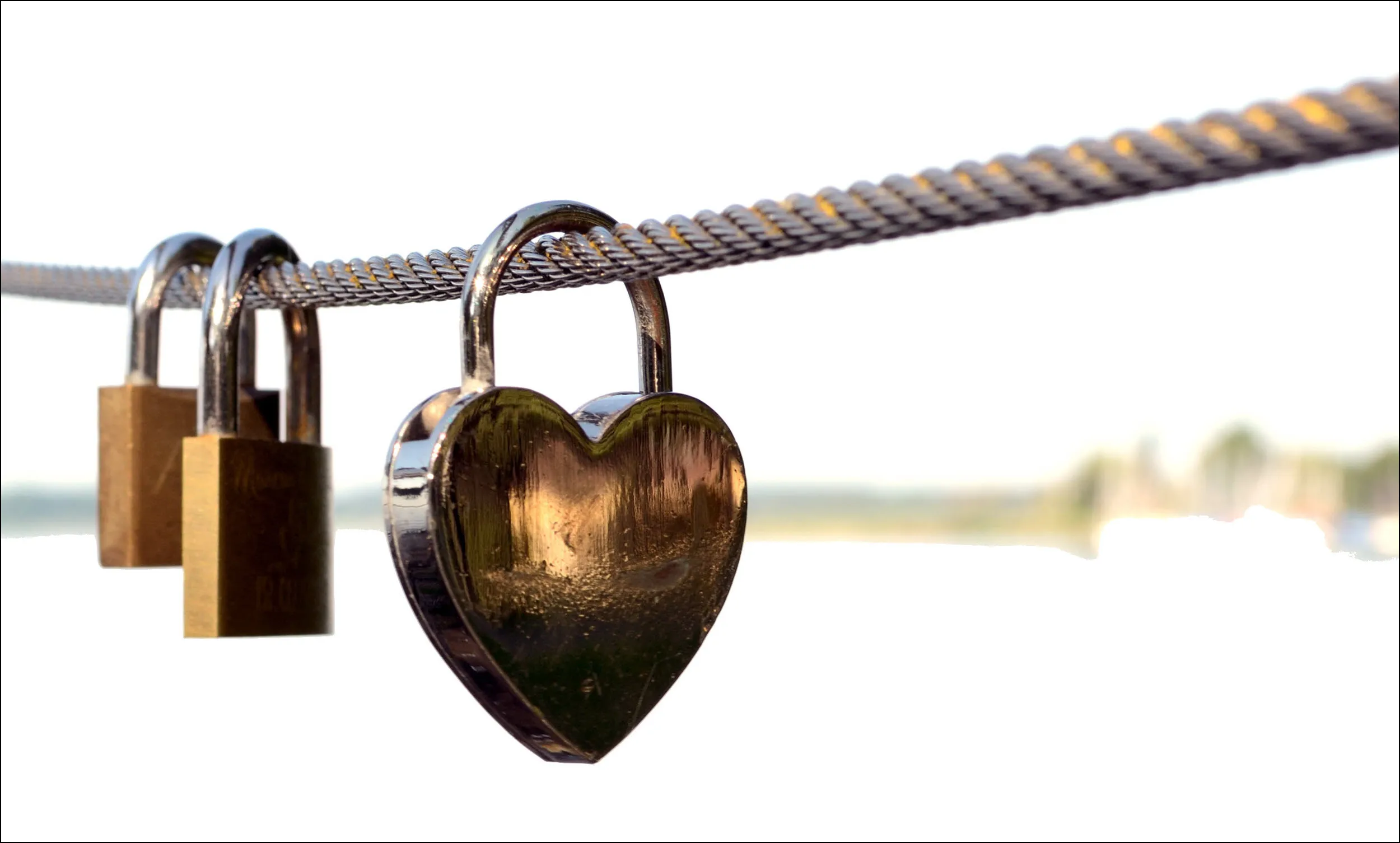 What Does a Security Product Manager Do? - illustration