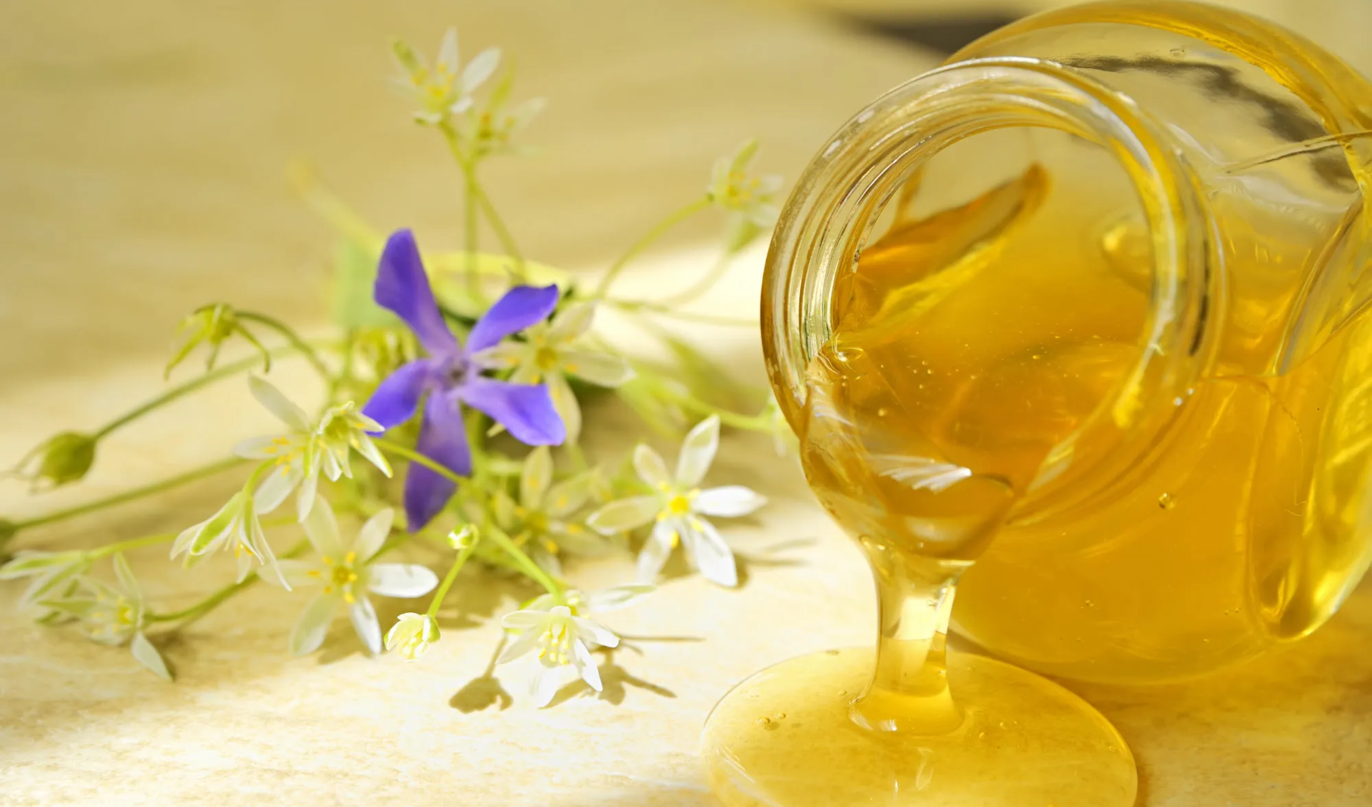 Experimenting with Honeypots Using the Modern Honey Network - illustration