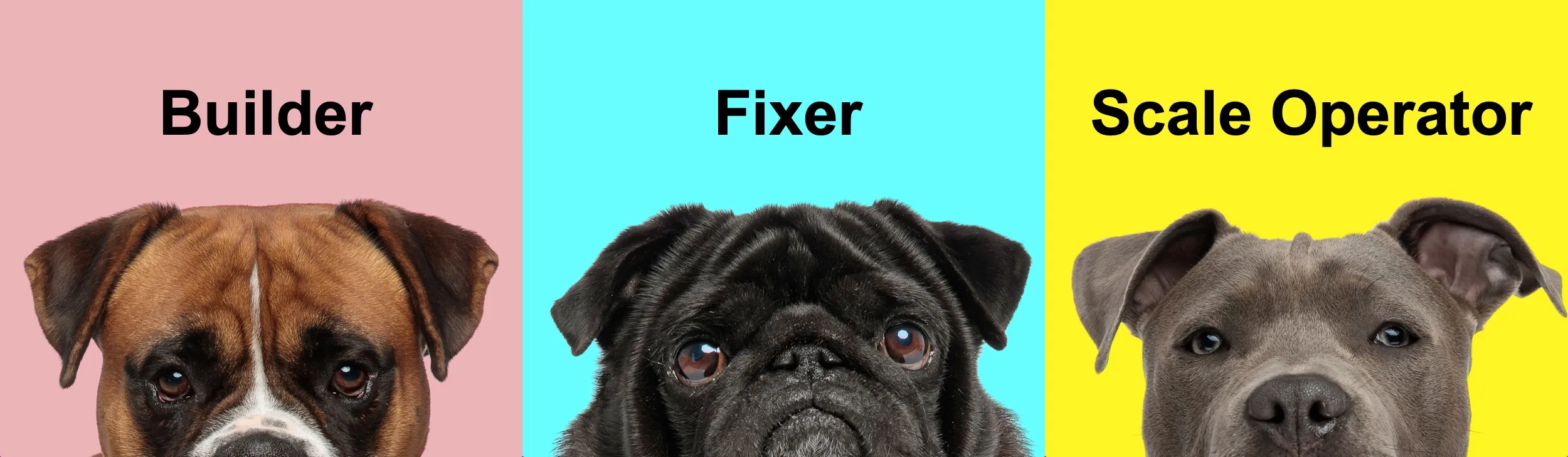 As a CISO, Are You a Builder, Fixer, or Scale Operator? - illustration